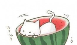 吃瓜很卡通头像