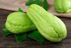 胧月吃瓜,揭秘娱乐圈背后的秘密与真相