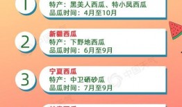 米诺吃瓜全文阅读,一场娱乐圈的狂欢盛宴