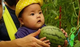 吃瓜群的人们,揭秘网络社交背后的趣味与争议