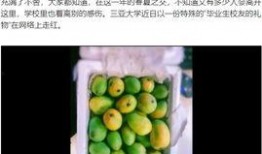 海南大学 吃瓜,趣味横生的校园生活剪影