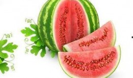 冰星吃瓜,一场星际吃瓜盛宴