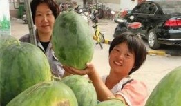 萧山小区吃瓜,吃瓜群众的热议焦点