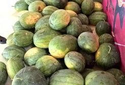 赛后意大利吃瓜,赛后吃瓜群众热议焦点