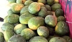 赛后意大利吃瓜,赛后吃瓜群众热议焦点