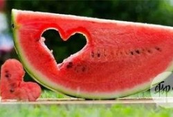 吃瓜的群众相貌,揭秘吃瓜群众的独特相貌之谜