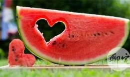 吃瓜的群众相貌,揭秘吃瓜群众的独特相貌之谜