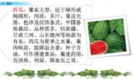 州建行吃瓜ppt,一场金融界的“瓜田”盛宴