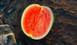 温酒 吃瓜,共度悠闲时光