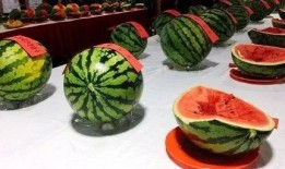 武平县吃瓜,探寻当地特色美食之旅