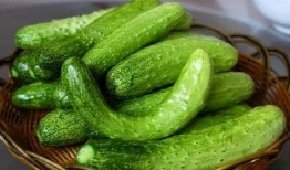 曾明欣吃瓜,揭秘娱乐圈幕后故事