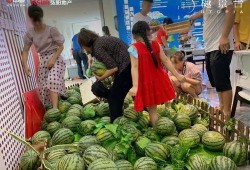 王星樾吃瓜,揭秘娱乐圈背后的真相