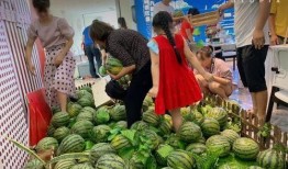 王星樾吃瓜,揭秘娱乐圈背后的真相