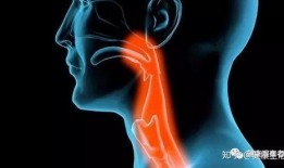 吃瓜刺激喉咙糜烂,揭秘吃瓜引发的刺激与后果
