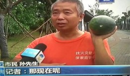 广西柳州吃瓜群众事件,网络舆论场上的风波与反思