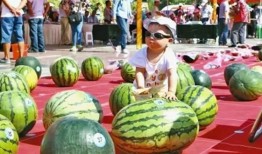 吃瓜王比赛,舌尖上的狂欢盛宴