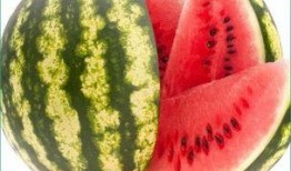 天天吃瓜的,天天吃瓜，揭秘明星幕后故事