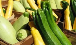 uoft吃瓜,揭秘“吃瓜”背后的真相与热议