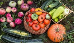 为什么吃瓜叫吃瓜,揭秘“吃瓜”一词的由来与流行文化现象