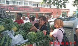 吃瓜群众路上,吃瓜群众路上的奇闻轶事