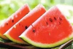 吃冰王瓜,冰王瓜的清凉诱惑
