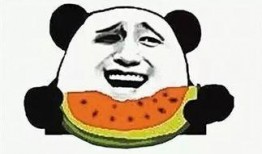 天天吃瓜的,天天吃瓜，揭秘明星幕后故事