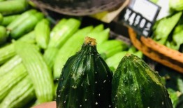 吃瓜点不进去,揭秘“吃瓜点不进去”现象背后的真相