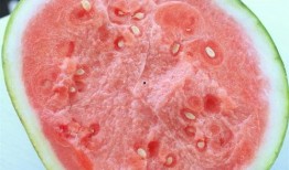 合肥吃瓜骗婚案例,揭秘骗婚背后的惊人真相