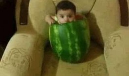 吃瓜逗笑笑话,吃瓜逗笑，轻松一刻