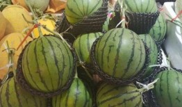 现在可以吃瓜吗,现在，我们能否安心吃瓜？